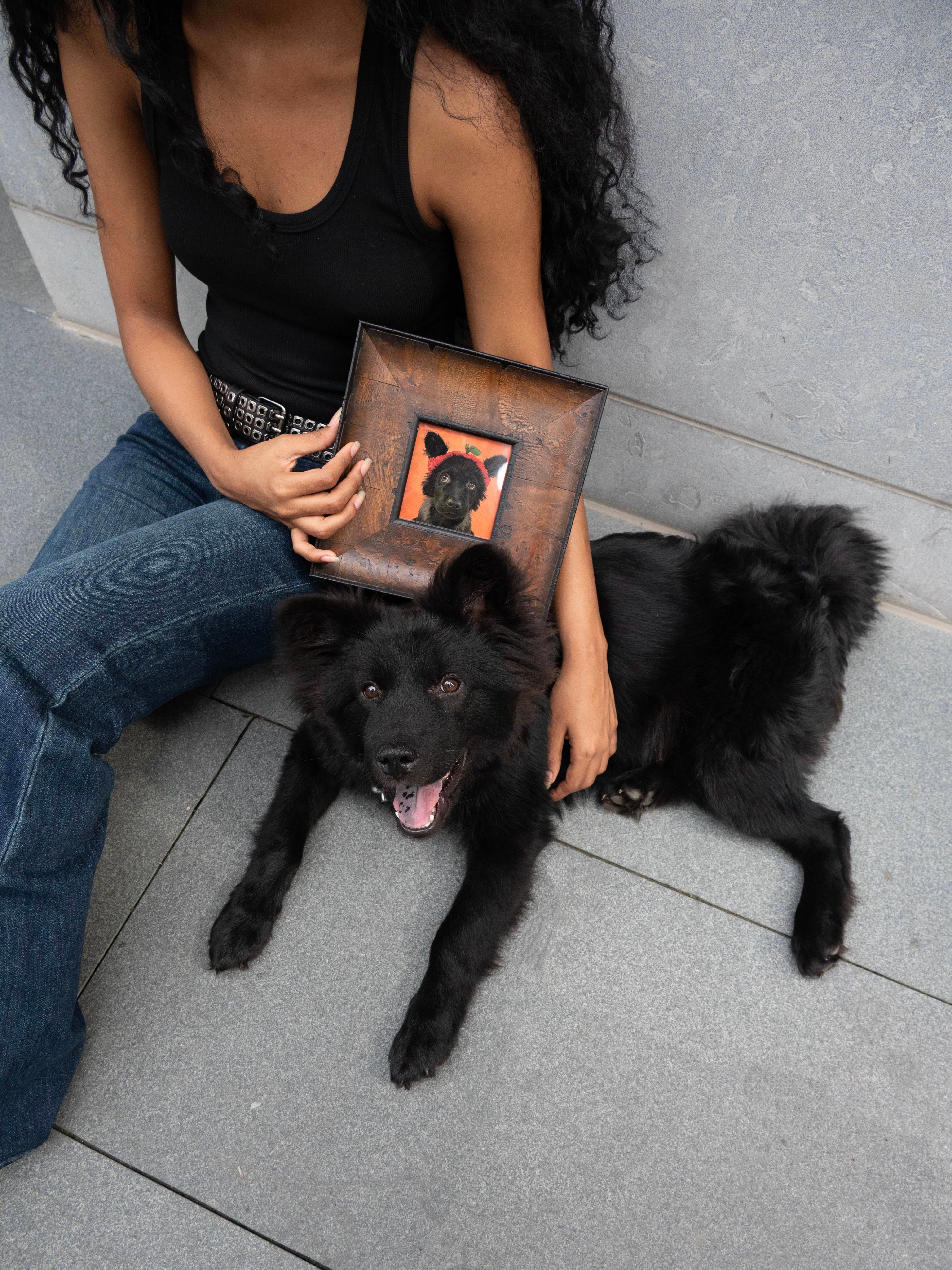 Custom hand-drawn Pet Portrait Frame