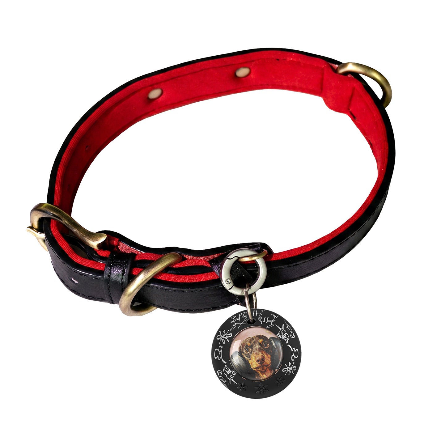 Custom Hand-drawn Pet Tracker（With leather collar）