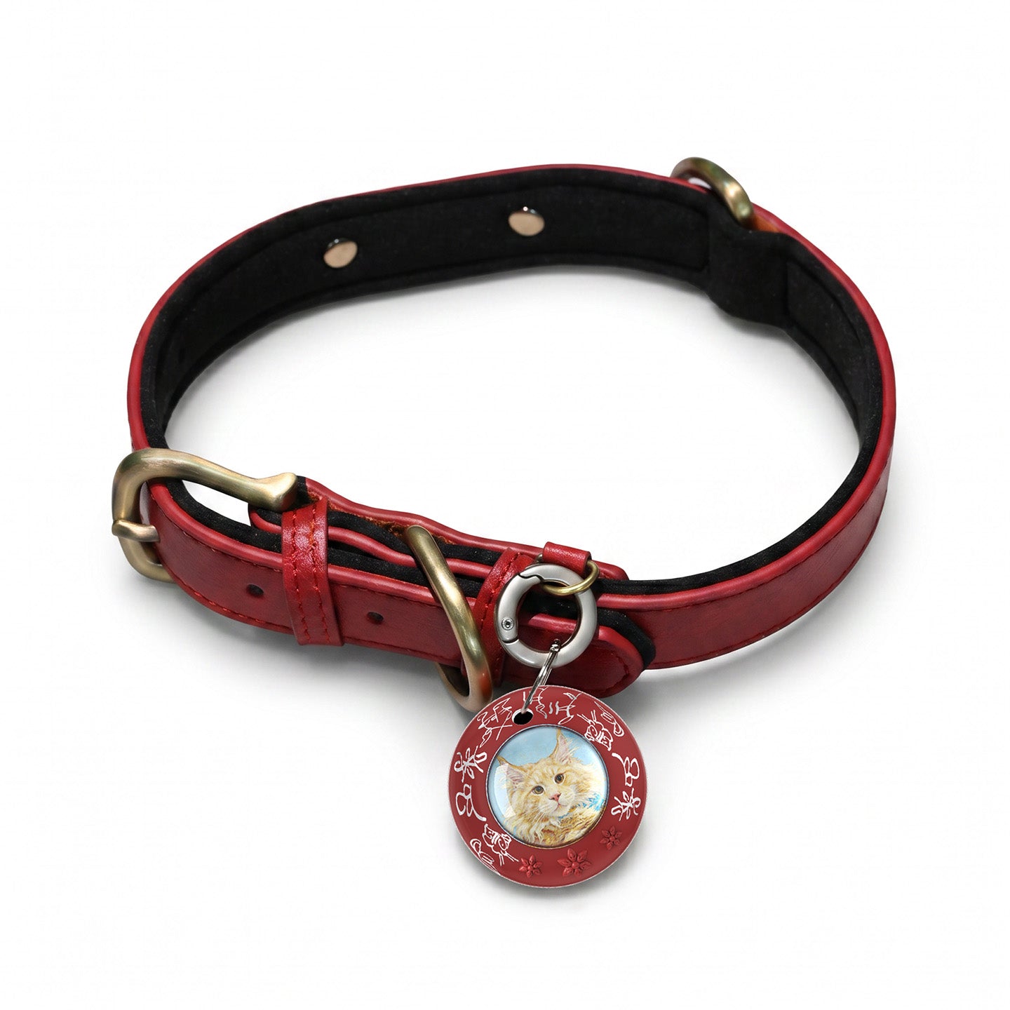 Custom Hand-drawn Pet Tracker（With leather collar）