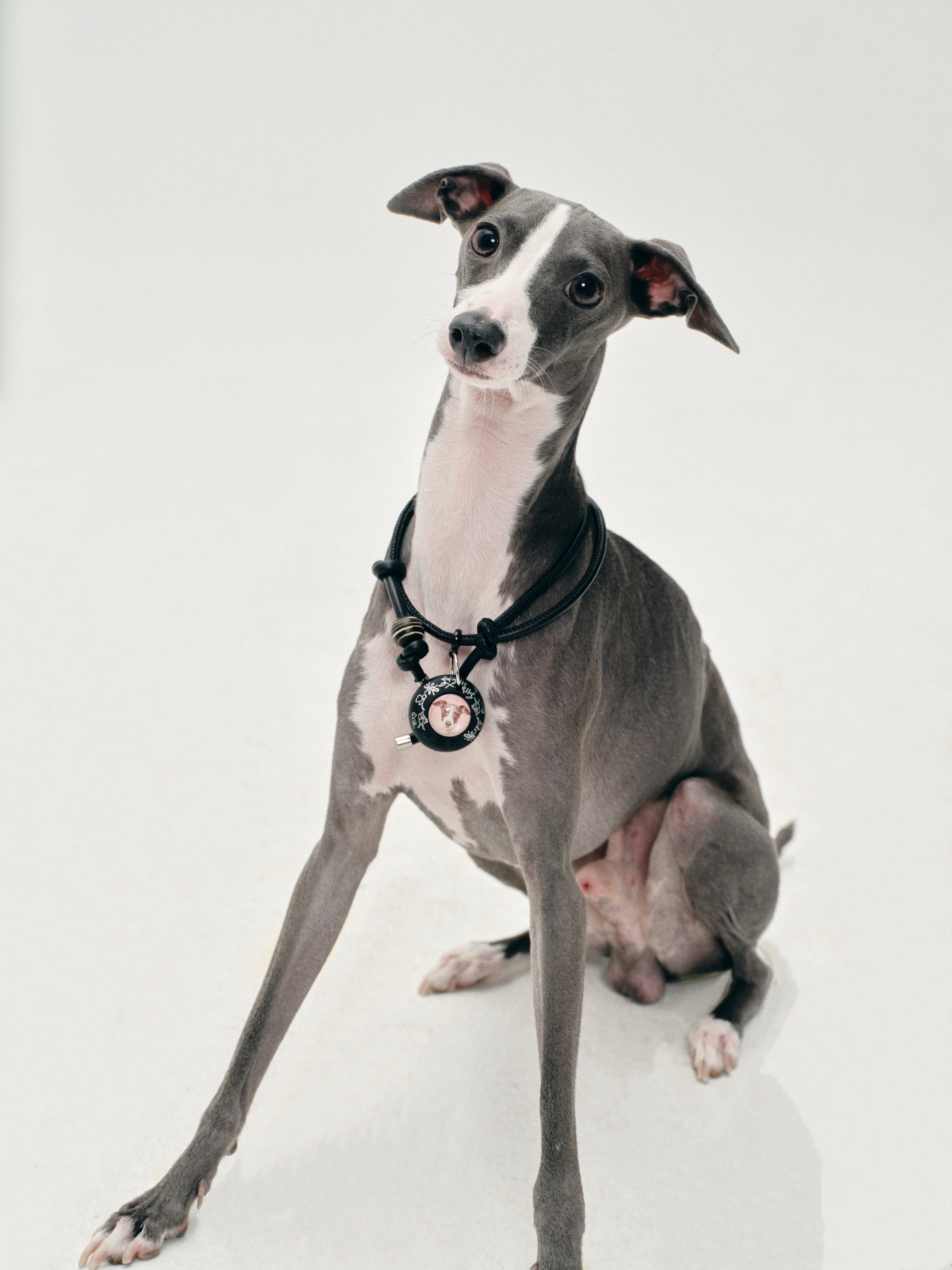 Custom Pet Portrait Collar Tag