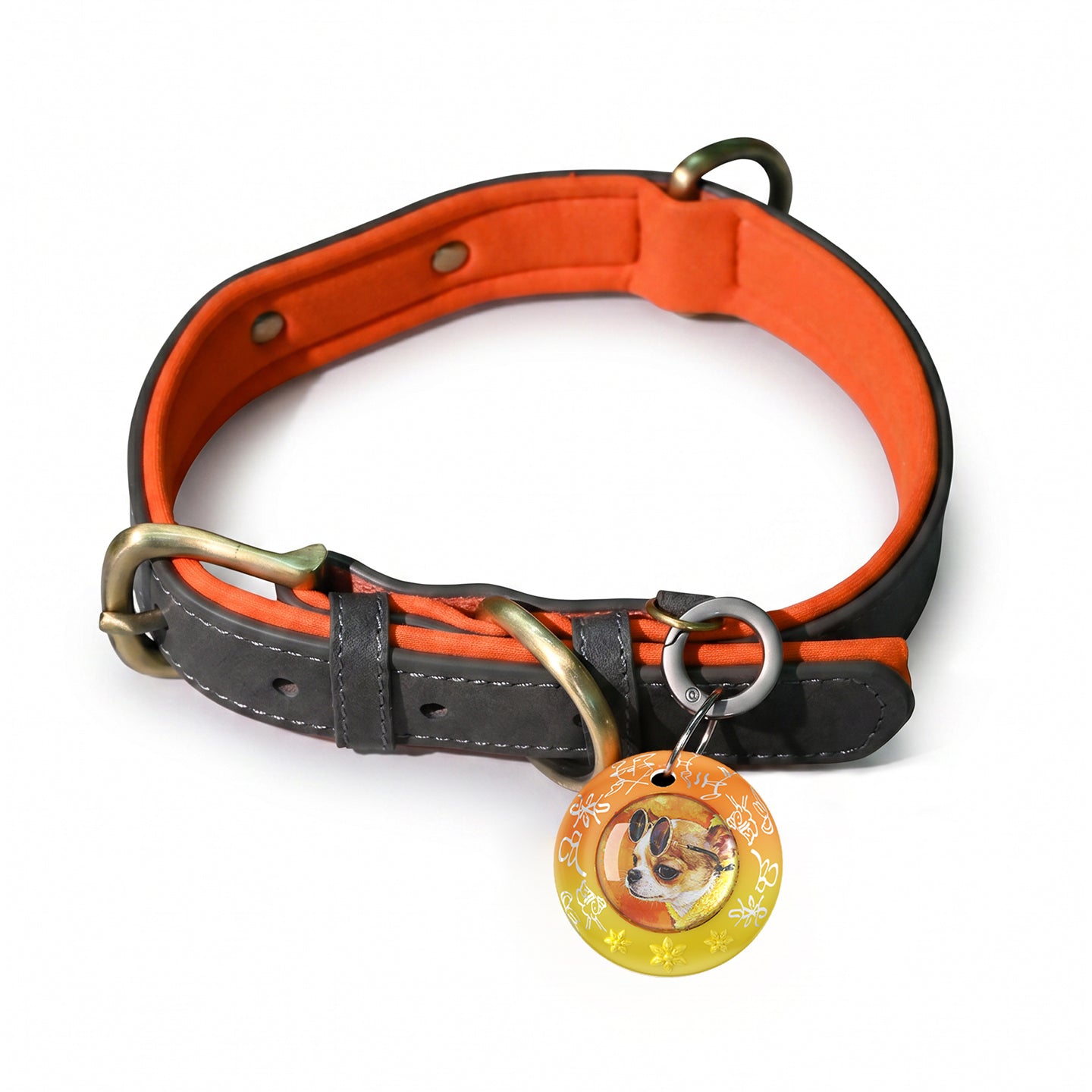 Custom Hand-drawn Pet Tracker（With leather collar）